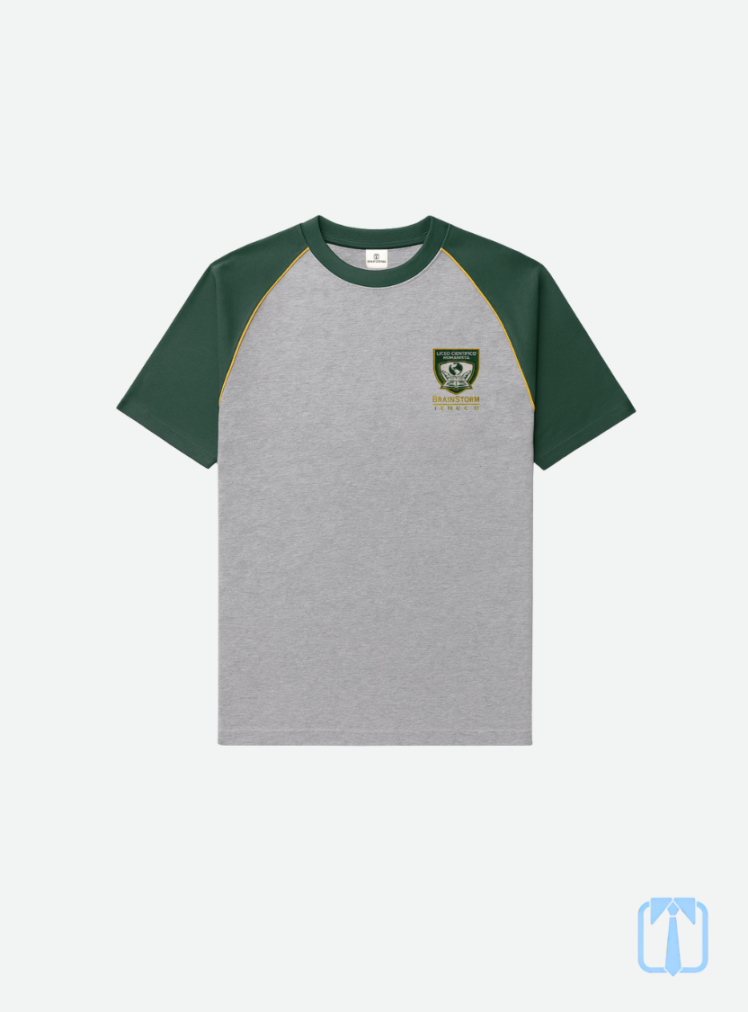 Polera deporte Liceo Brainstorm Temuco