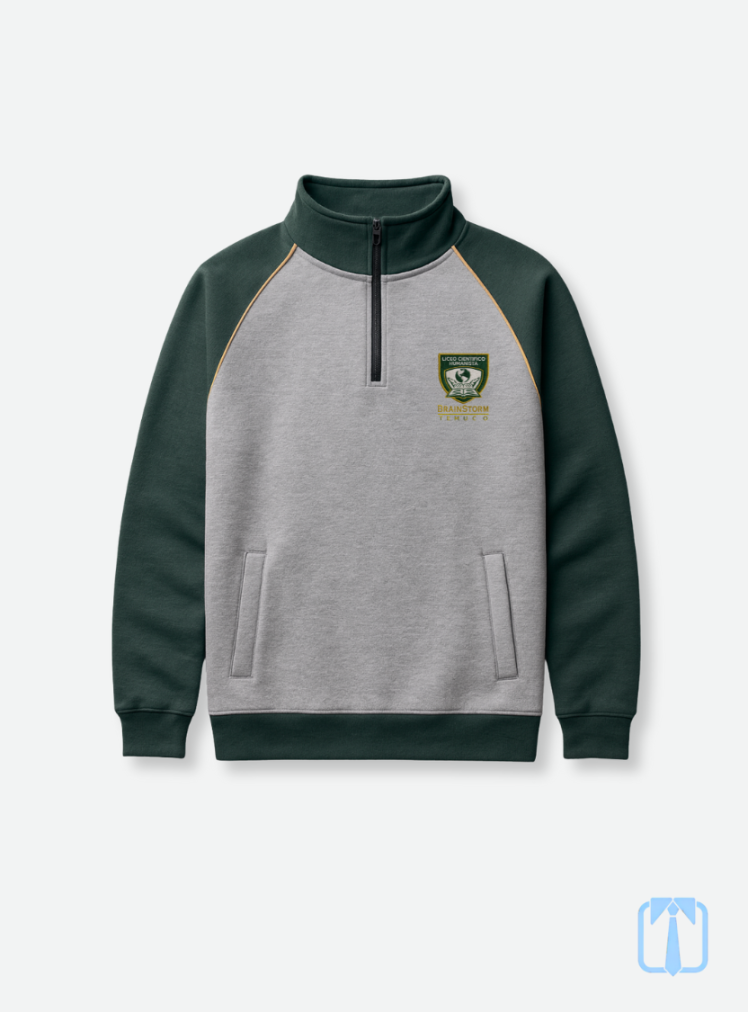 Poleron buzo deporte institucional Liceo Brainstorm Temuco