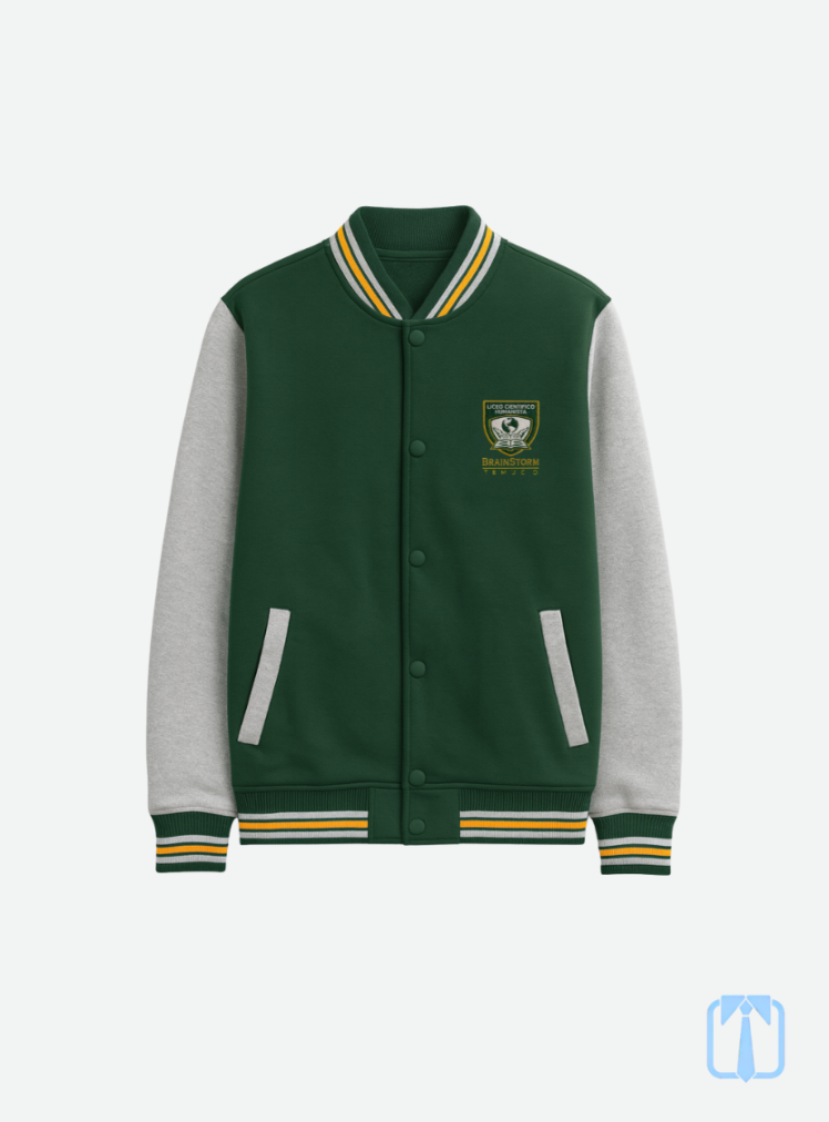 Poleron buzo aniversario institucional Liceo Brainstorm Temuco