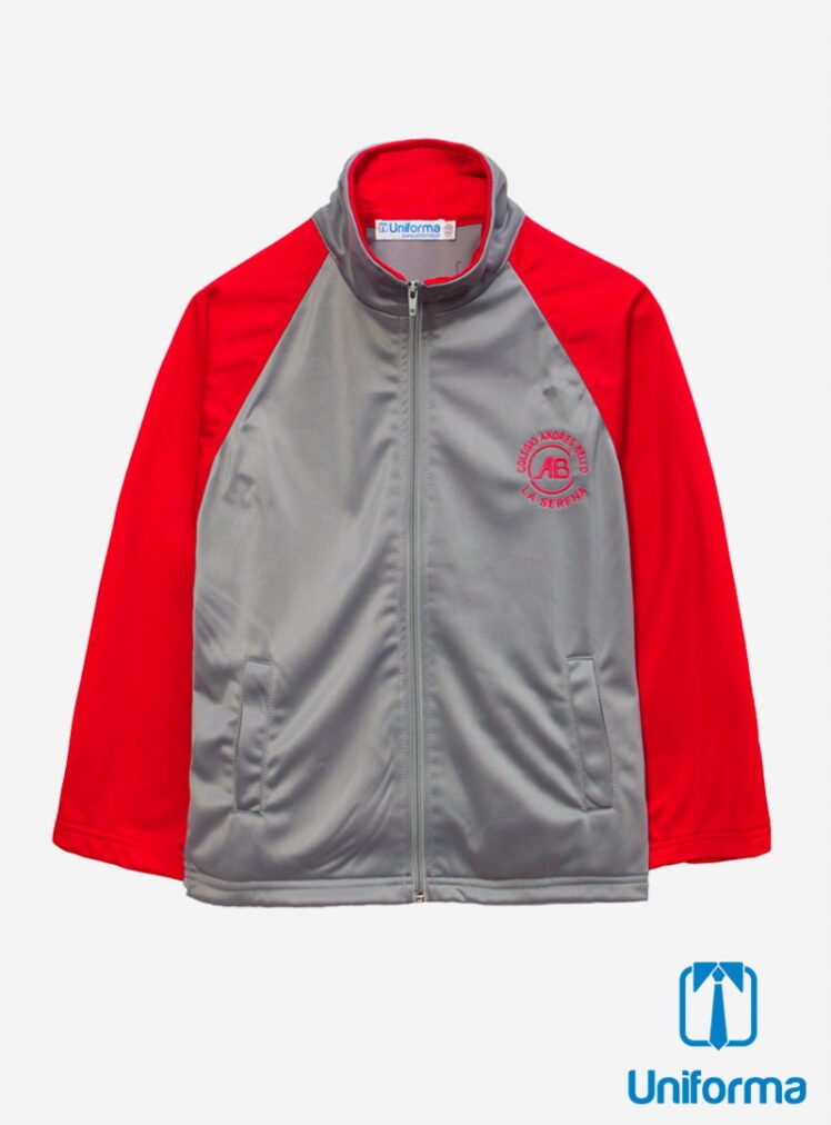 Poleron Buzo Deporte Colegio Andres Bello