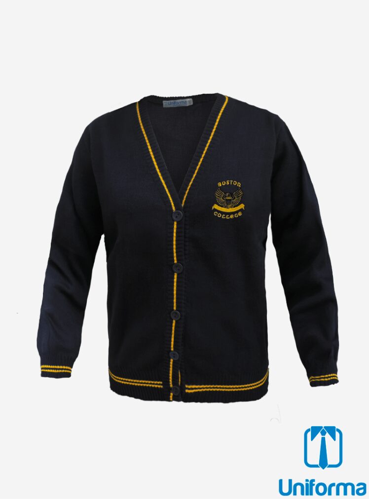 Sweater Uniforme Boston College