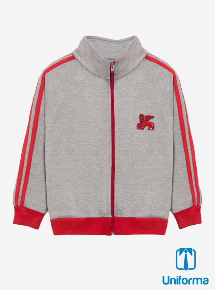 Poleron Buzo Colegio San Marcos