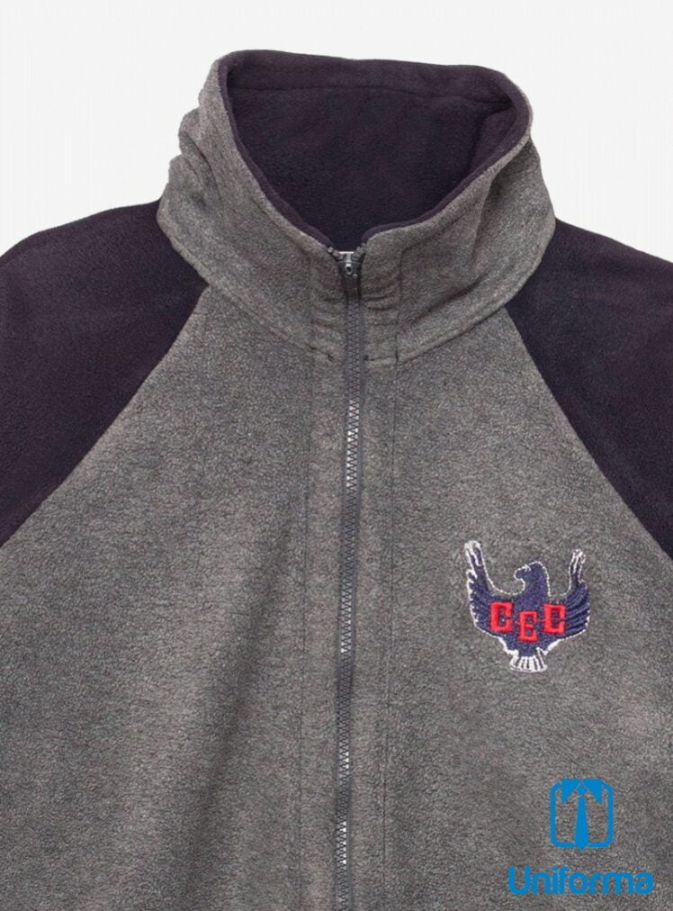 Polar Chilean School