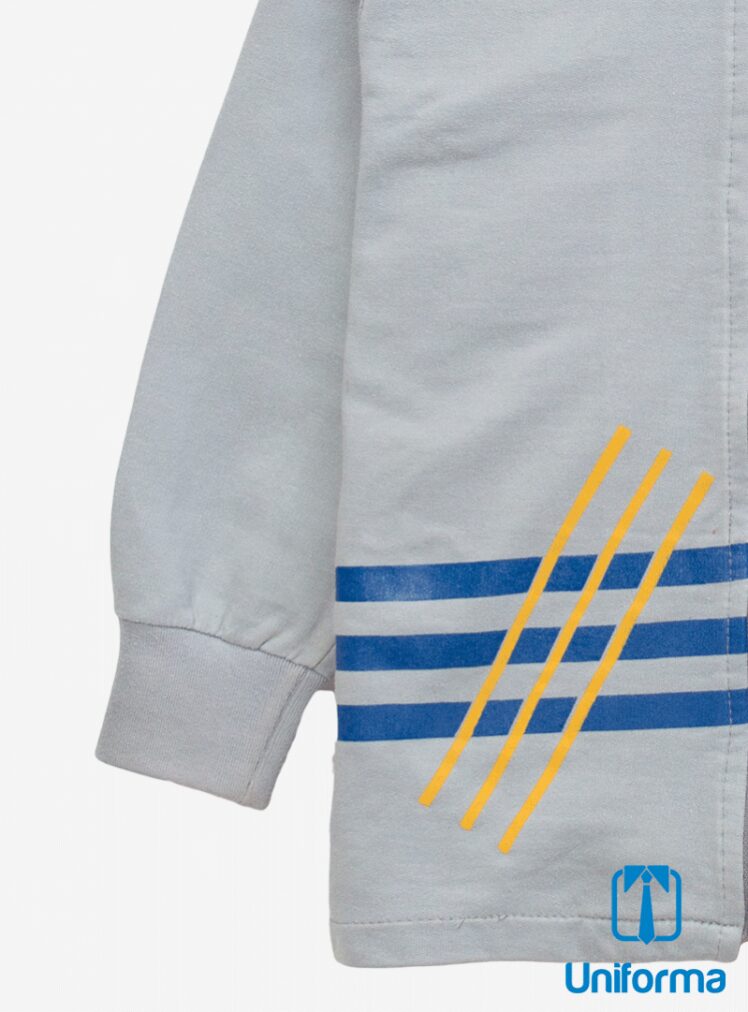 Poleron Buzo Colegio los Aromos